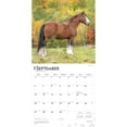 thumbnail image 4 of Clydesdales | 2026 12x24" (Hanging) Square Wall Calendar | Plastic-Free, 4 of 9
