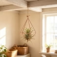 thumbnail image 5 of Geometric Air Plant Holder with Hanging Chain, Metal Hanging Tillandsia Holder, 3 Different Size Macrame Plant Holder, for Small Air Plants Indoor Garden Wall Decor, 5 of 6