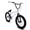White, variant on Elite BMX Bicycle 20” Freestyle Bike - Stealth Black White Ideal for Ages 7 to 18 Years
