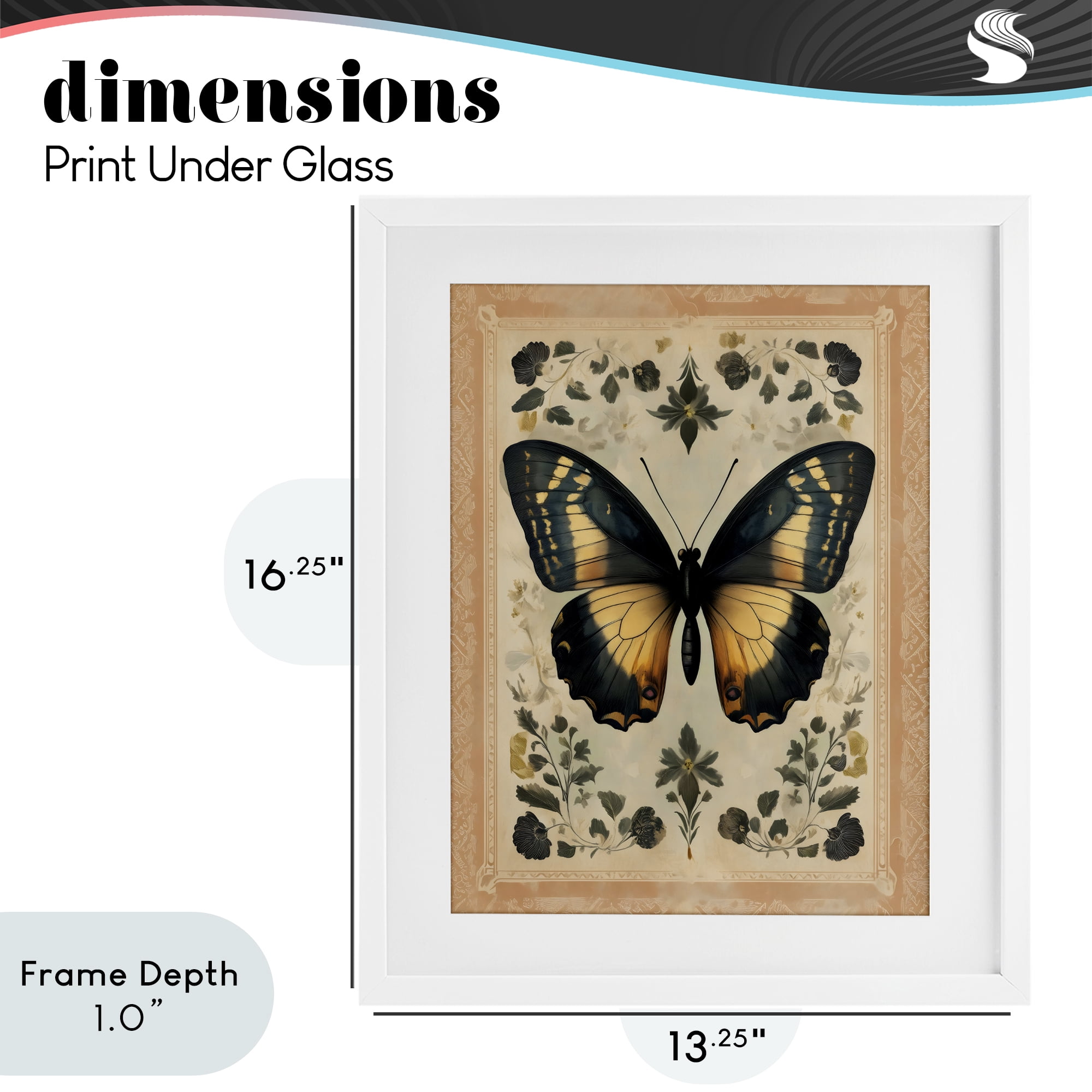 Stupell Industries Vintage Butterfly Botanical Illustration White Framed Print Under Glass, design by Arlington Prints