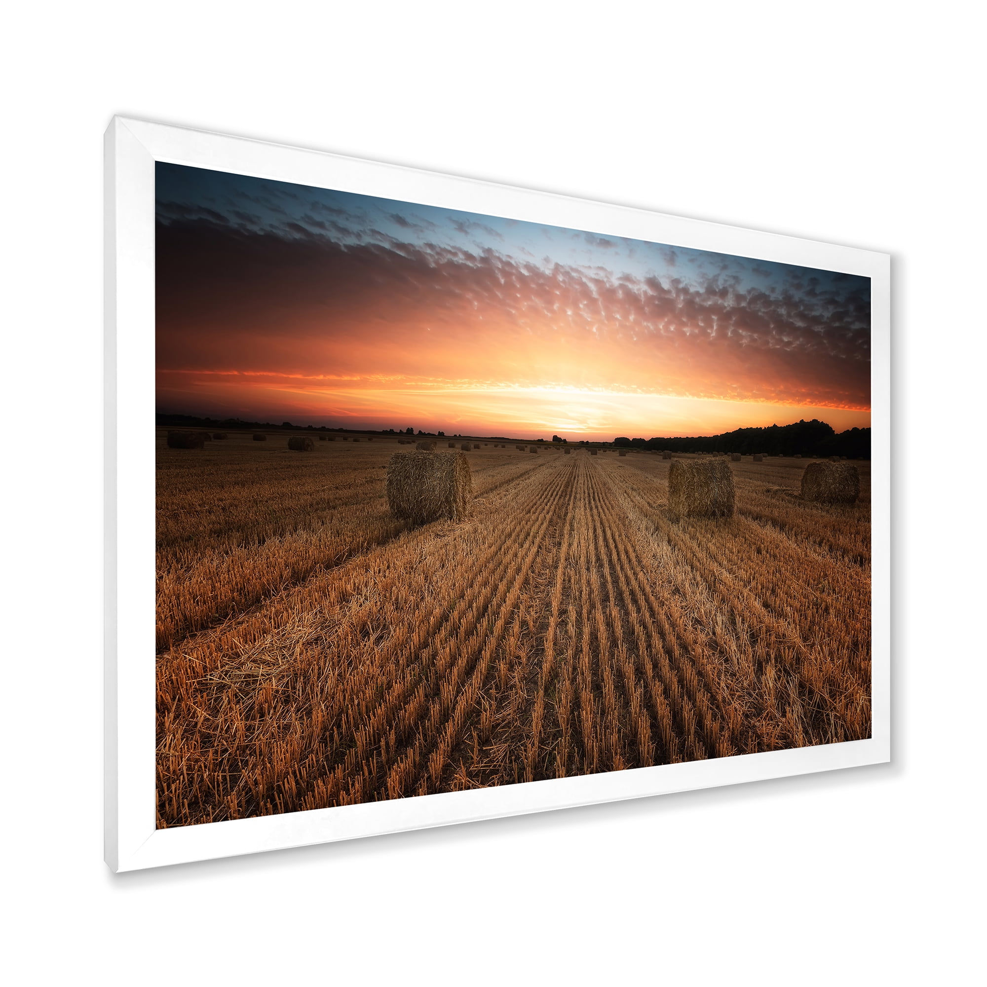 Designart 'A Field Full of Hay Bales At Sunset Landscape' Farmhouse Framed Art Print