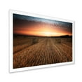 thumbnail image 2 of Designart 'A Field Full of Hay Bales At Sunset Landscape' Farmhouse Framed Art Print, 2 of 4