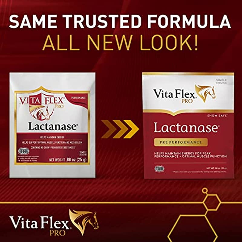 Buy Vita Flex Pro Horse Lactanase Performance Supplement Single Serve Packet Online at Lowest