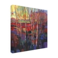 thumbnail image 2 of Tim OToole 'Patchwork Trees I' Canvas Art, 2 of 4