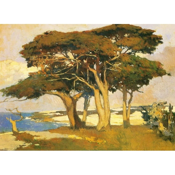 Monterey Cypress-Mathews - CANVAS OR FINE PRINT WALL ART