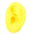 thumbnail image 1 of Simulación de silicona suave, modelo de oreja humana izquierda, pantalla de oreja, modelo de ayuda para enseñanza, 1 of 8