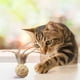 thumbnail image 1 of Juguetes masticables interactivos para gatitos, juguetes naturales para gatos de interior, juguete sonoro para gatos, pelota trenzada resistente a masticar para mascotas A, 1 of 8