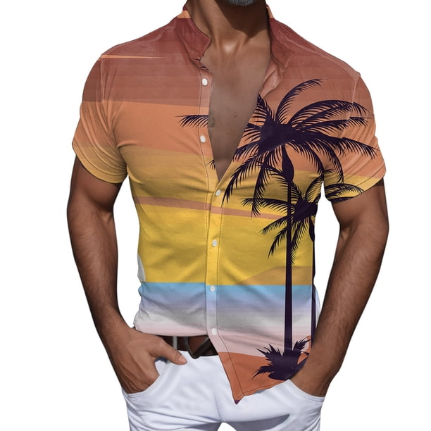 Camisas Para Hombre Manga Larga Negra Hombres Casual Manga corta Primavera Verano Turndown Neck 3D Impreso Camisas Moda Top Blusa Camisas (Coffee, XXL)