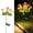 Orange, variant on Solar Flowers Lights,Solar-Powered Outdoor Light with Blooming Flowers, Waterproof Lights for Outside Yard, Garden, Pathway, Walkway, Patio, Lawn, Cemetery, Grave Decor