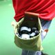 thumbnail image 5 of BEMS-Bolsa de forrajeo de lona verde, riñonera de senderismo, forrajeo plegable, 5 of 5