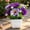 F, variant on Clearance Artificial flowers under $1,‌Artificial Chrysanthemum Flower Gypsophila Pot Bonsai Decor Lifelike Flowers In Planter Realistic Home & Decor Perfect For Garden Wedding