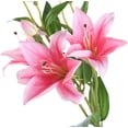 thumbnail image 1 of Manunclaims 1 Pcs Long Stem Artificial Lilies Flowers Fake Silk Full Bloom Lily for Home Table Centerpieces Arrangement Wedding DIY Decoration, 6 Heads/Branch, 1 of 8