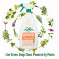 thumbnail image 4 of Charlie's Soap, Kitchen and Bath Household Cleaner, Non-Toxic, Multi-Surface Use, 32 oz -1 Pack, 4 of 9