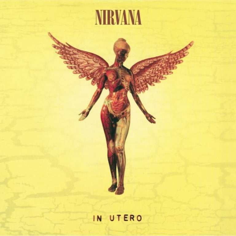 Nevermind (30Th Anniversary/Super Deluxe/8LP/7Inch) & In Utero