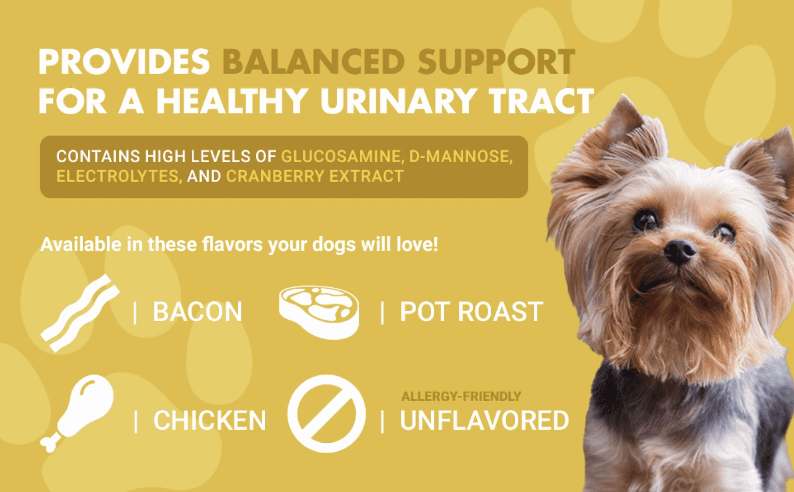 Liquid-Vet® K9 Kidney & Bladder Wellness Supplement for Dogs, Bacon Flavor, 16 fl oz