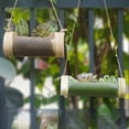 witspace-hanging-succulent-planter-indoor-plant-herb-hanging-plant