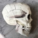 thumbnail image 5 of Creepy Plastic Open Mouth Skull Skeleton Haunted House Decor Halloween Prop Y, 5 of 5