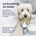 thumbnail image 4 of Petpost Dental Solution for Dogs - Water Additive for Bad Breath & Plaque - Apple, Peppermint & Spearmint - Brush-Free Daily Tooth Cleaning - 16 oz, 4 of 8