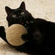 thumbnail image 3 of Juego De Juguetes Para Gatos Con Cuerda De Sisal Y Plumas Y Juguetes Interactivos Para Gatos De Interior. Cuerda De Papel Para Que Los Gatitos Muerdan. Juguete Interactivo Para Gatos. Cuerda Para Ga, 3 of 4