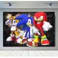 thumbnail image 3 of Fondo de fotografía de Sonic, el erizo de velocidad, héroe corredor, fondo de fotografía de dibujos animados para cumpleaños de niños, accesorios de vinilo de poliéster rojo y azul, 3 of 5