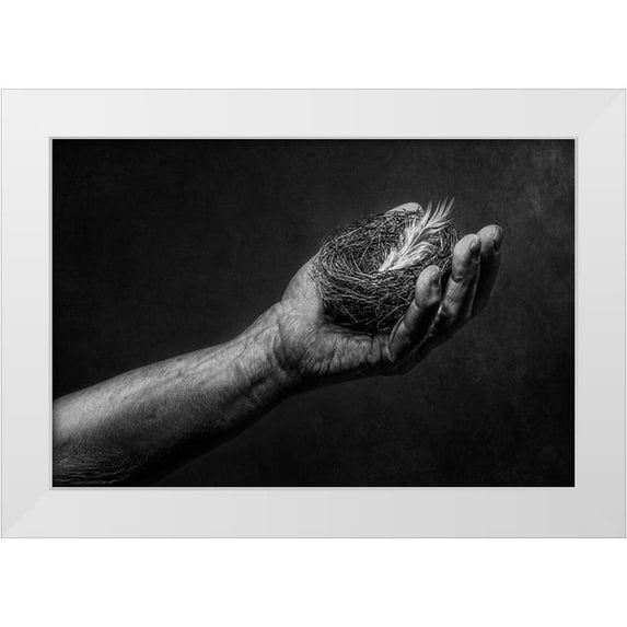 Clough, Stephen 24x17 White Modern Wood Framed Museum Art Print Titled - Nest