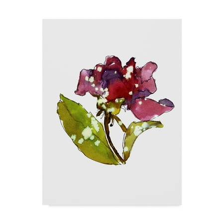 - Trademark Fine Art 'Marsala Rose' Canvas Art by Cayena Blanca