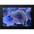 thumbnail image 2 of Crane, Rita 14x11 Black Modern Framed Museum Art Print Titled - Hydrangea Blue IV, 2 of 5