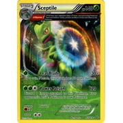 Pokemon Primal Clash Sceptile #9