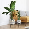 thumbnail image 3 of Aspire Home Accents Ayaz Mid Century Modern Assorted Round Multicolor Ceramic Plant Planters (2 Pack), 3 of 5