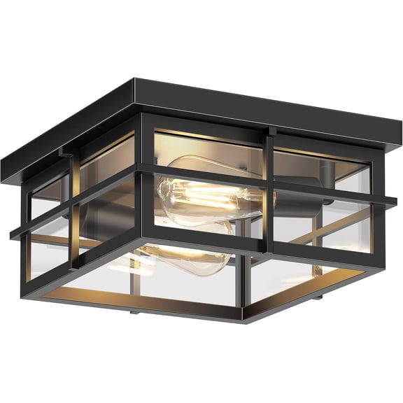 Flush Mount Ceiling Lights, 2-Light Hallway Ceiling Lighting Fixtures, Farmhouse Metal Cage Ceiling Lights for Entryway Kitchen