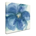 thumbnail image 2 of Trademark Fine Art 'Indigo Mint IV' Canvas Art by Chris Paschke, 2 of 3