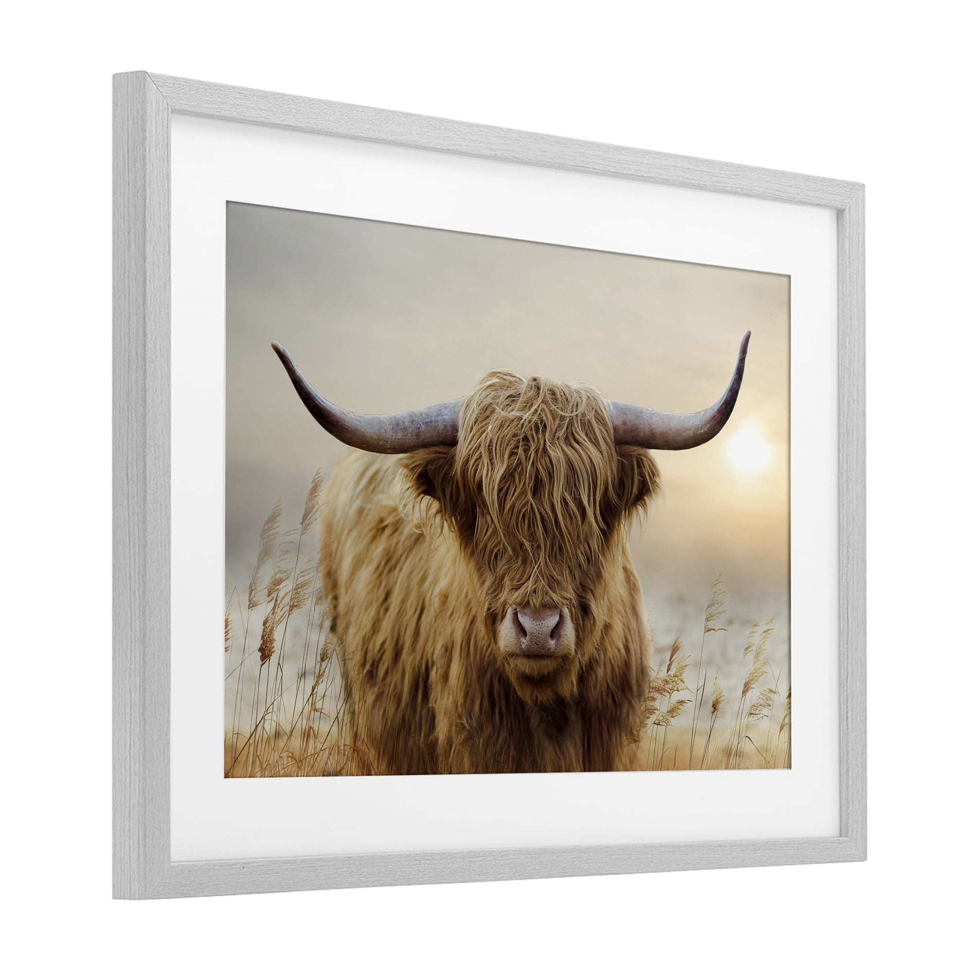 Stupell Industries Highland Cow & Warm Sunset Gray Framed Print Under Glass, design by CAD Designs