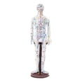 thumbnail image 3 of Milaget Chinese Medical Acupuncture Model Demonstration Learning Aid Height 15.7inch White, 3 of 9