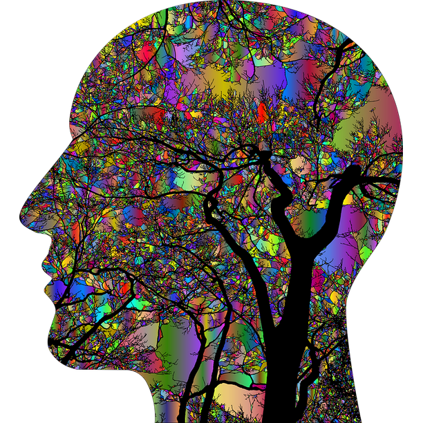 Brain Think Psychology Trees Vivid Imagery12 Inch BY 18 Inch