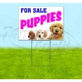 thumbnail image 1 of Puppies For Sale (18" x 24") Yard Sign, Includes Metal Step Stake, 1 of 6