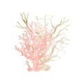 thumbnail image 2 of Kimberly, Allen 20x20 White Modern Wood Framed Museum Art Print Titled - Coral Cove 3, 2 of 4