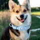 thumbnail image 4 of Collar Para Mascotas Pet Collar Creative Anti Loss Location Tracker Collares para Airtag (Azul claro S) Ehuebsd Libre de BPA, 4 of 7