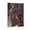 Frame-style, variant on Lae'zel Poster Home Decor Poster Wall Art Hanging Picture Print Bedroom Decorative Painting Posters Room Aesthetic 12x18inch(30x45cm)