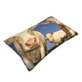 thumbnail image 3 of Balery Cows Cattles Pillow Covers,Bed Pilowcases,Reversible Plush Throw Pillow Covers End Pillow Encasement,Pillow Case - 20"X30", 3 of 9