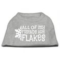 thumbnail image 1 of All My Friends Are Flakes Screen Print Shirt Grey Xxl (18), 1 of 1