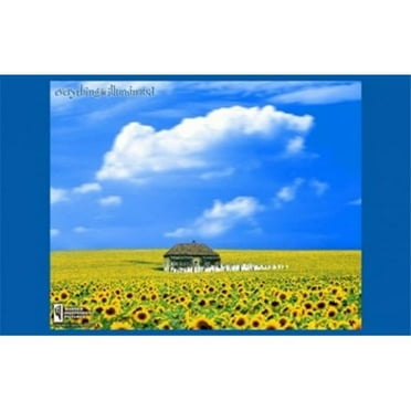 Pop Culture Graphics MOV283492 Everything is Illuminated Movie Poster, 17 x 11