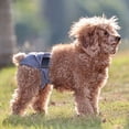 thumbnail image 5 of Washable Dog Diapers, Reusable Cloth Doggy Diapers for Female Small, Medium, Large Size Dogs, 5 of 9