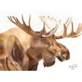 thumbnail image 2 of Fifer, Diane 18x14 Black Ornate Wood Framed with Double Matting Museum Art Print Titled - Moose Be Single, 2 of 4