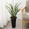 thumbnail image 4 of 2x Orchid Pots with Breathable Holes, Indoor Plant Pot Cymbidium Orchid - L, 4 of 8