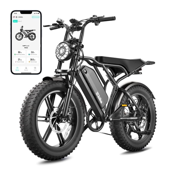 Electric Bike for Adults, 48V 25Ah Battery, 1500W Peak Motor, 20"x4" Fat Tire Electric Bicycle, Dual Suspension, 7-Speed Gears, LCD Display, 3 Working Modes, Long Range E-Bike