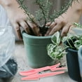 thumbnail image 5 of FRCOLOR Garden widger 20 Pcs Plastic Garden Widger Seedlings Dibber Transplanting Planting Tools for Home Flowrpot Craft (Random Color),5.71"X0.79"X0.39", 5 of 5