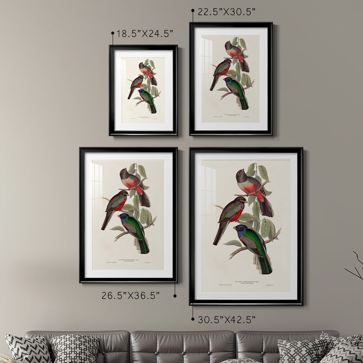 Wexford Home Elegant Trogons V Premium Framed Print, 22.5" x 30.5" - Ready to Hang, Black (Set of 2)
