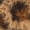 Leopard, variant on Joyspun Women’s Faux Fur Puff Scuff Slippers