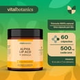 thumbnail image 4 of Ácido Alfa Lipoico y Moringa VITALBOTANICS 60 cápsulas 500mg, 4 of 7