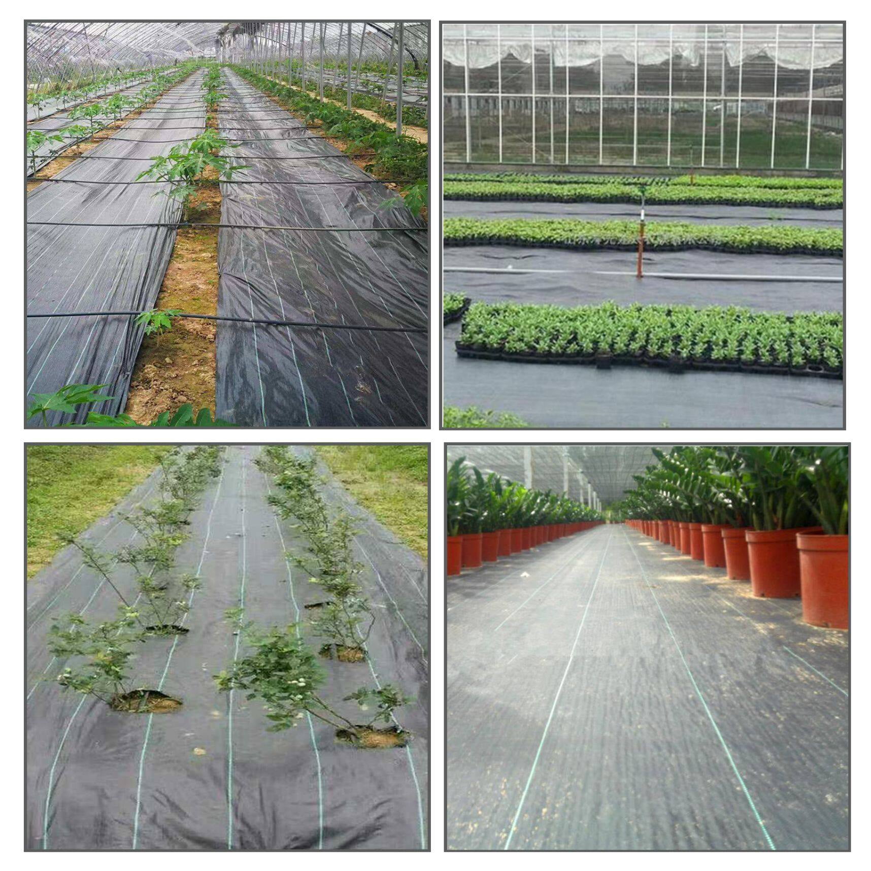 Weed Cover Landscape Fabric Woven Ground Barrier 6FT x 200FT Heavy-duty Weed Block Gardening Weed Matting Easy Setup & Superior Weed Control for Flower Bed, Yard, Garden